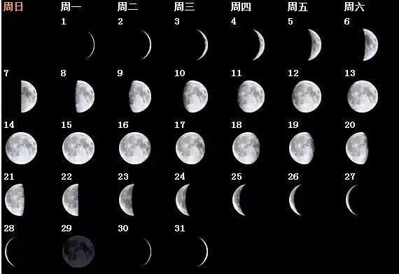 2020年是个神奇的年份，多上一个月的班，有人终于能过生日了_百科TA说