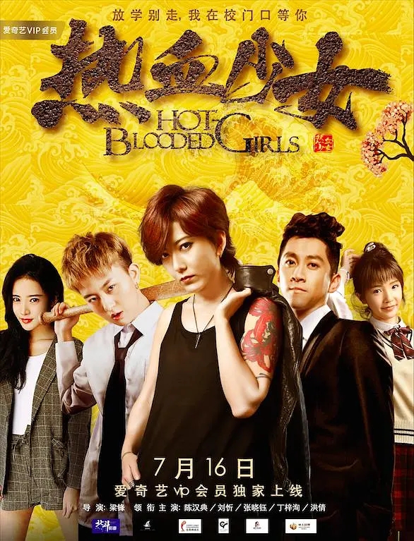 传媒有限公司娱乐联合出品的青春动作院线电影《热血少女》2017年1月