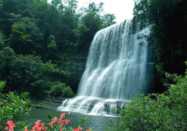 四川黄荆老林国家森林公园