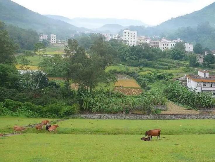  p data-id="gnwlw6tk09">蒙圩镇,隶属于广西壮族自治区贵港市桂平市