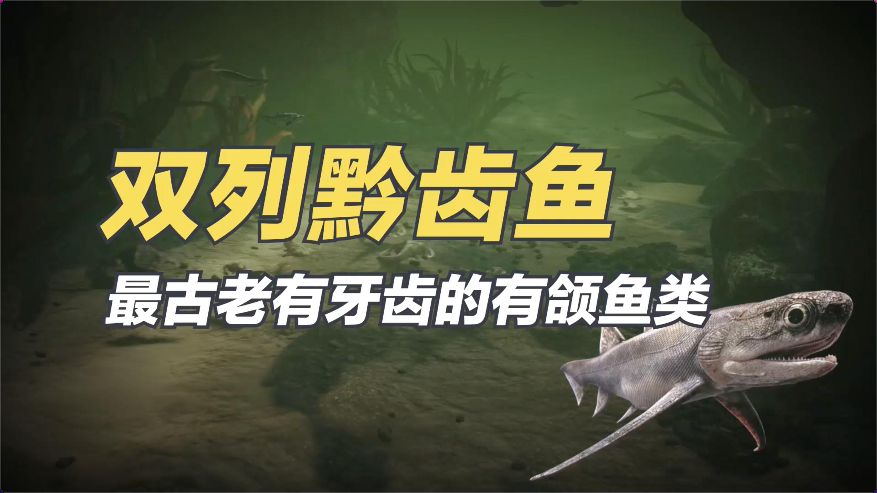 双列黔齿鱼——最古老有牙齿的有颌鱼类