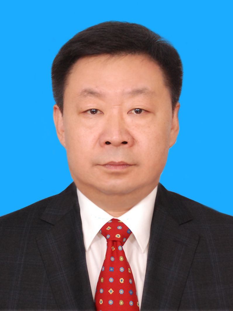  p data-id="gnbp6td0yq">陈少军,男,汉族,1964年10月生,河北新乐人