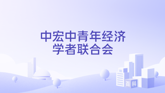中宏中青年经济学者联合会_百度百科