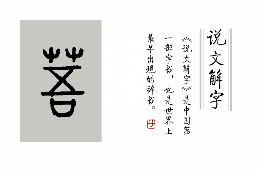 《说文解字》第106课：《诗经》里“菉竹猗猗”，“菉”为何意？_百科TA说