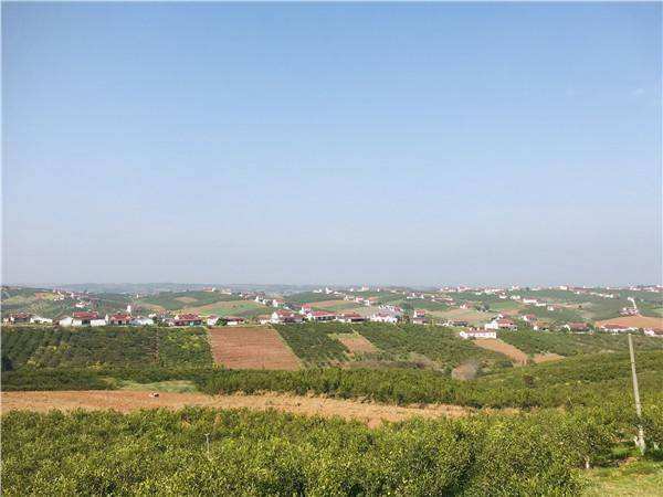  p>半月镇,隶属于湖北省宜昌市当阳市,地处 a target="_blank" href="