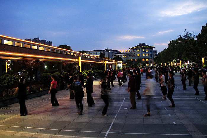 宁海县人民政府为纪念家乡这位饮誉中外的艺术大师,兴建了潘天寿广场