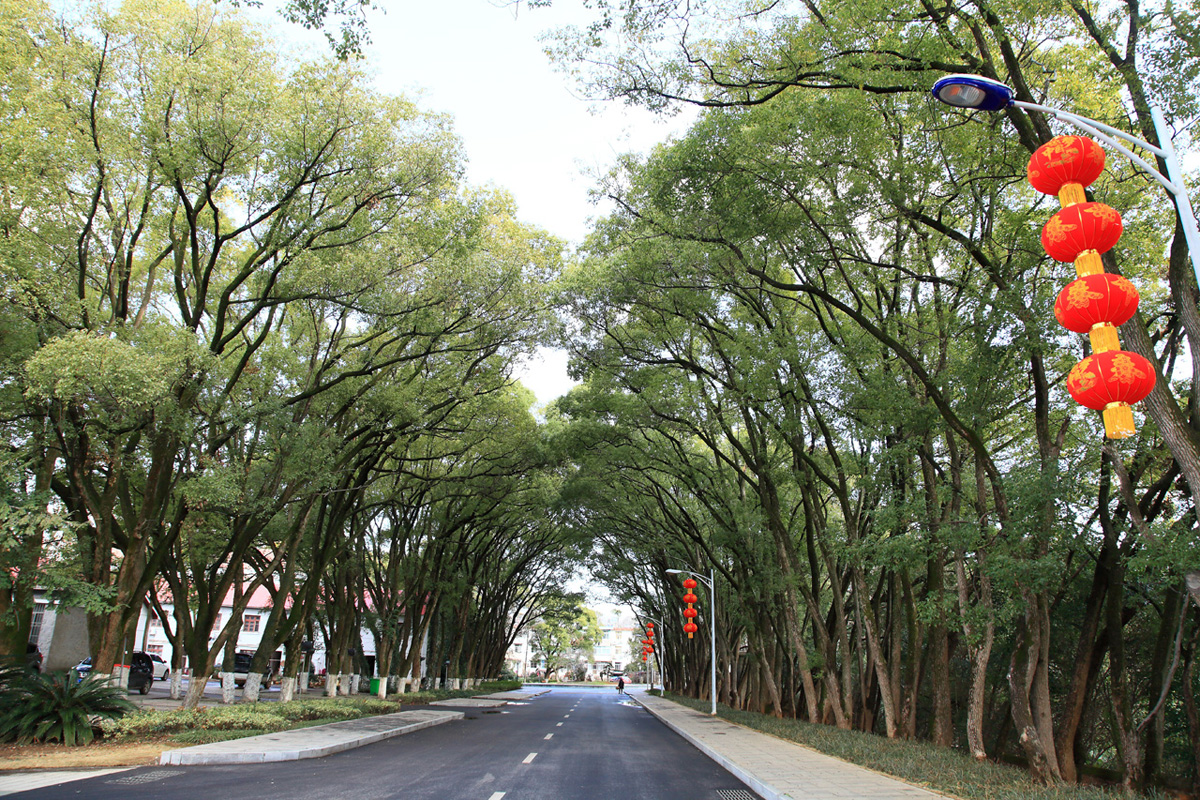 江西省林业科学院