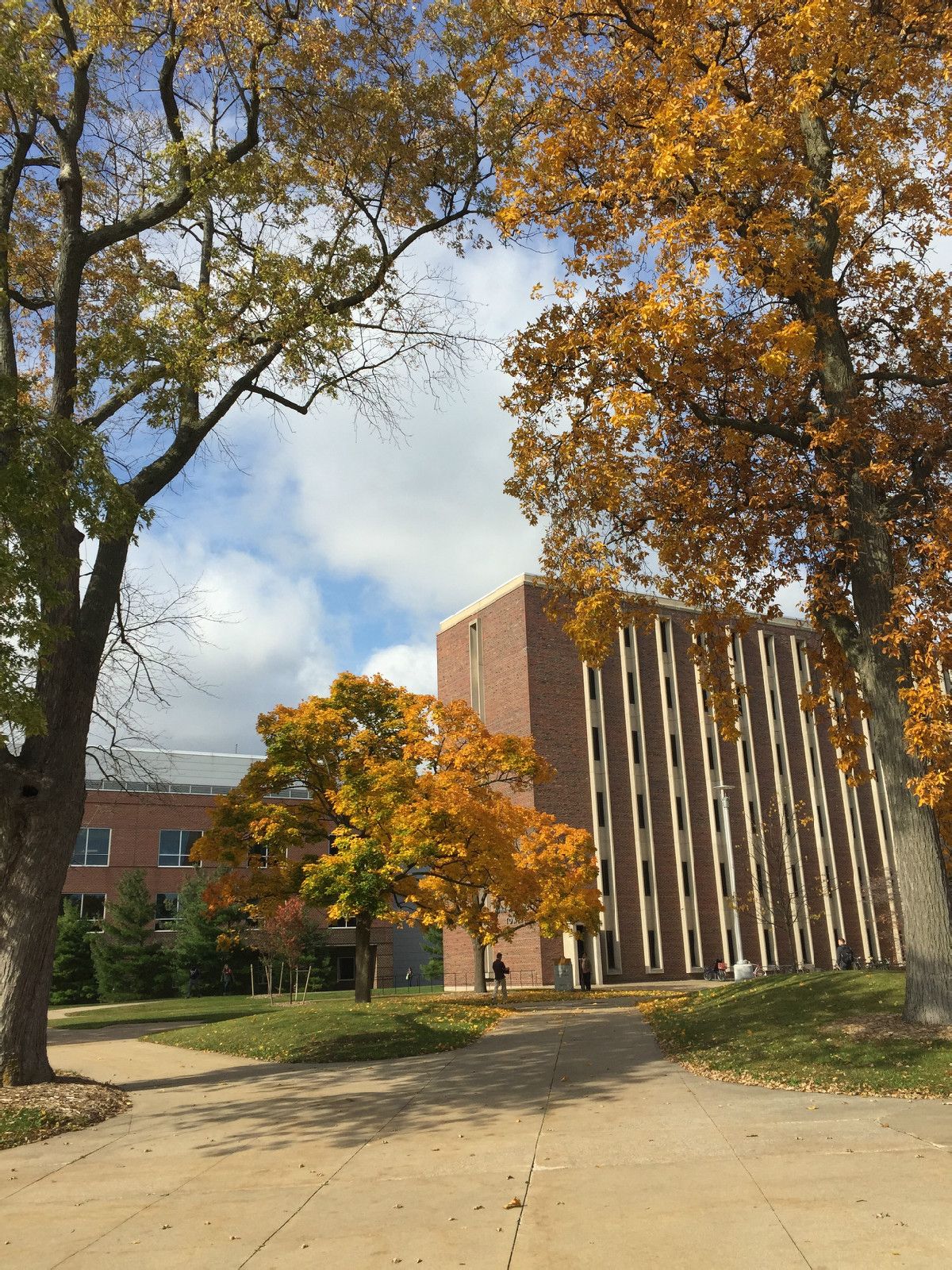  p>西密歇根大学(western michigan university)是一所公立综合型大学