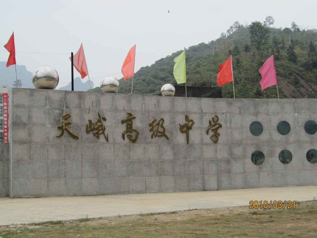  p> a target="_blank" href="/item/天峨高中/3828060" data-lemmaid