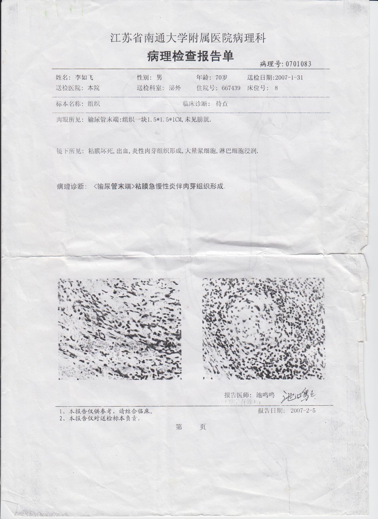 指的是 a target="_blank" href="/item/病理检查/2289061" data