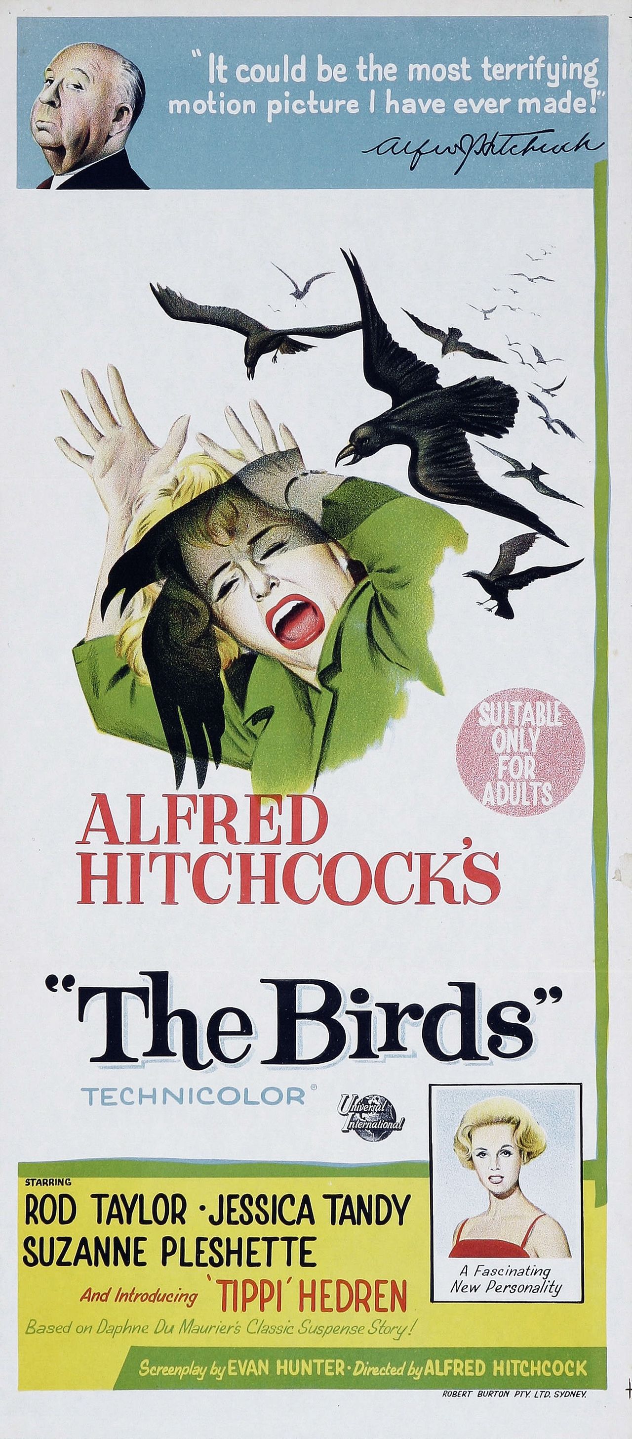 群鸟thebirds(1963)