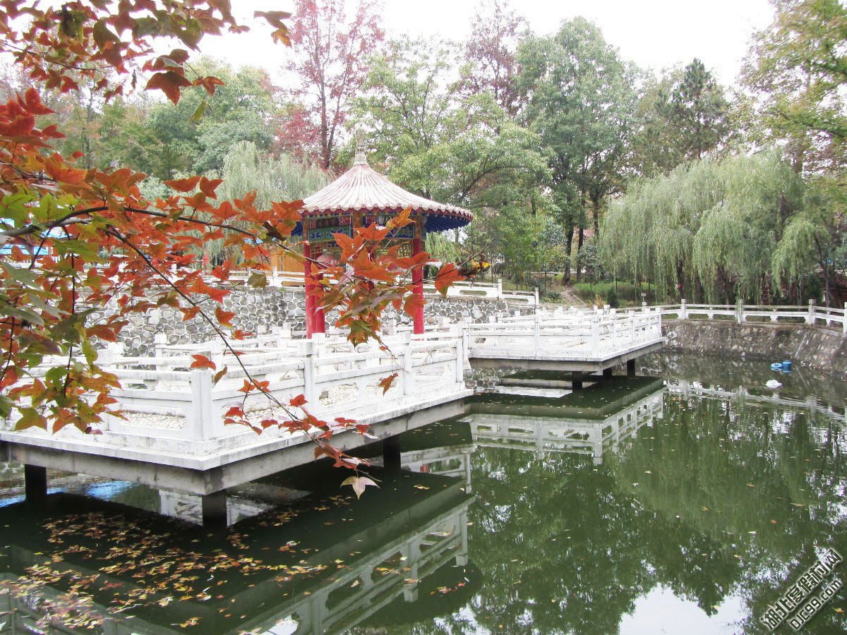 五脑山国家森林公园,国家aaaa级旅游景区,国家油茶良种基地,国际