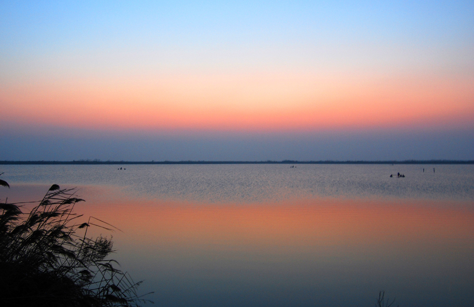 射阳河口风景区