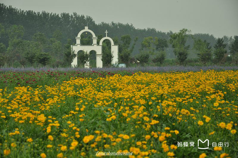 郑州薰衣草庄园