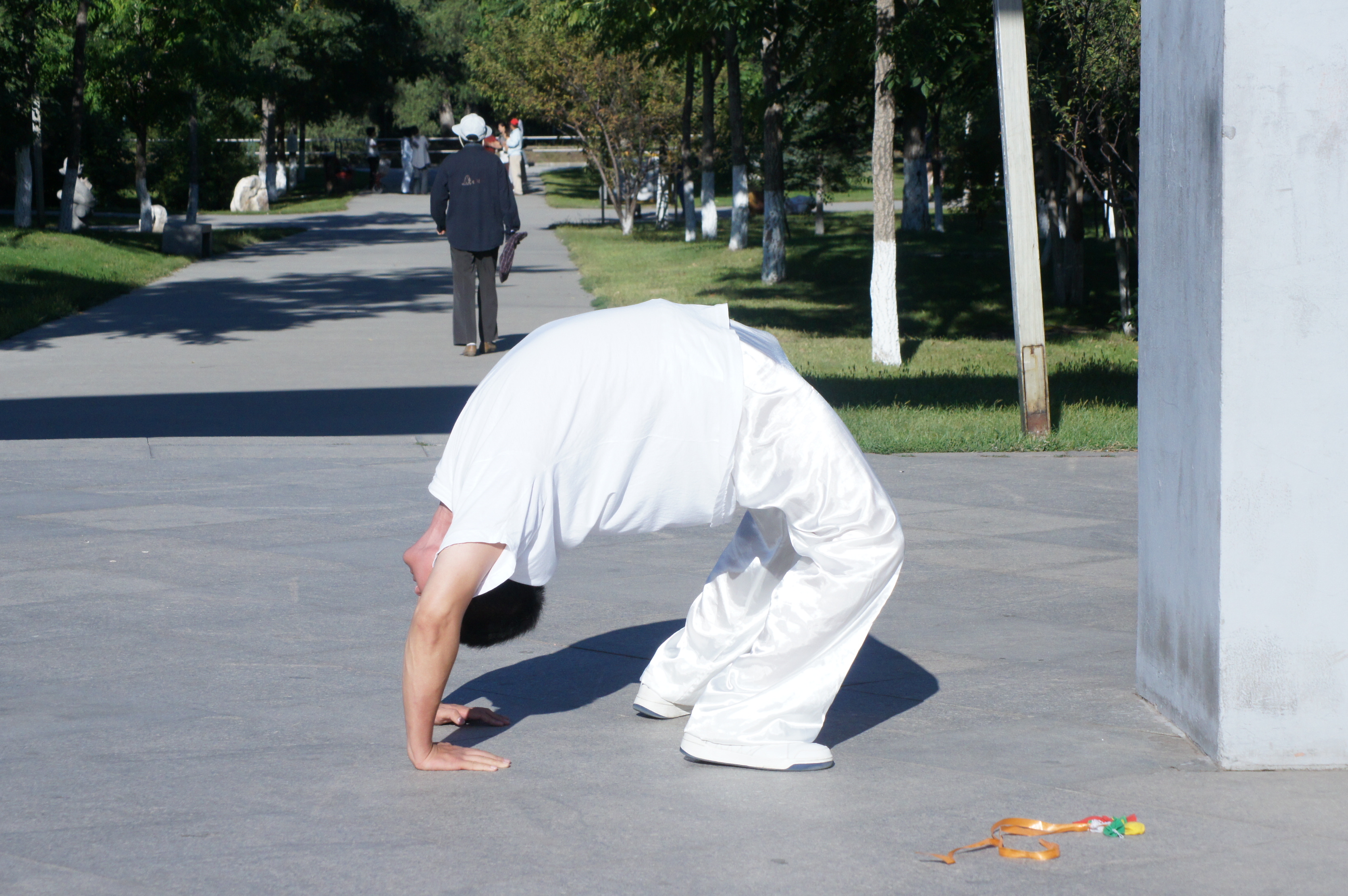 中国 a href="#" data-lemmaid="15521522">开门八极拳 /a>第六世传