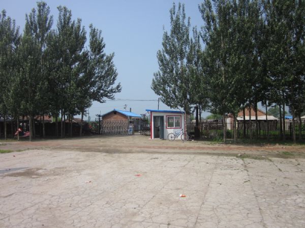 五常市向阳镇保山学校