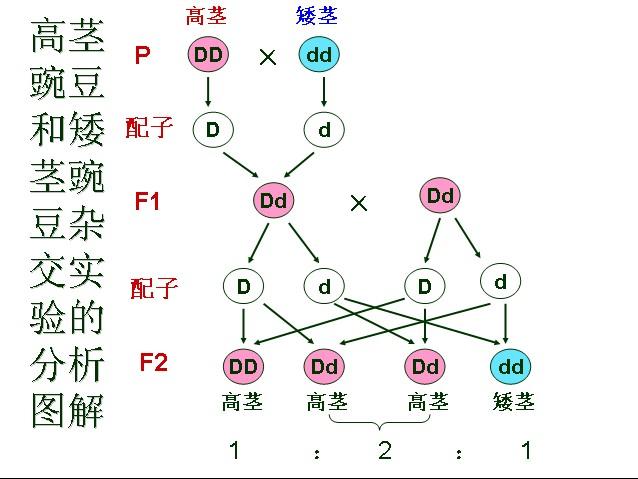 比较判断定律