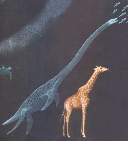  p>克柔龙(属名:kronosaurus)又名克诺龙, a h