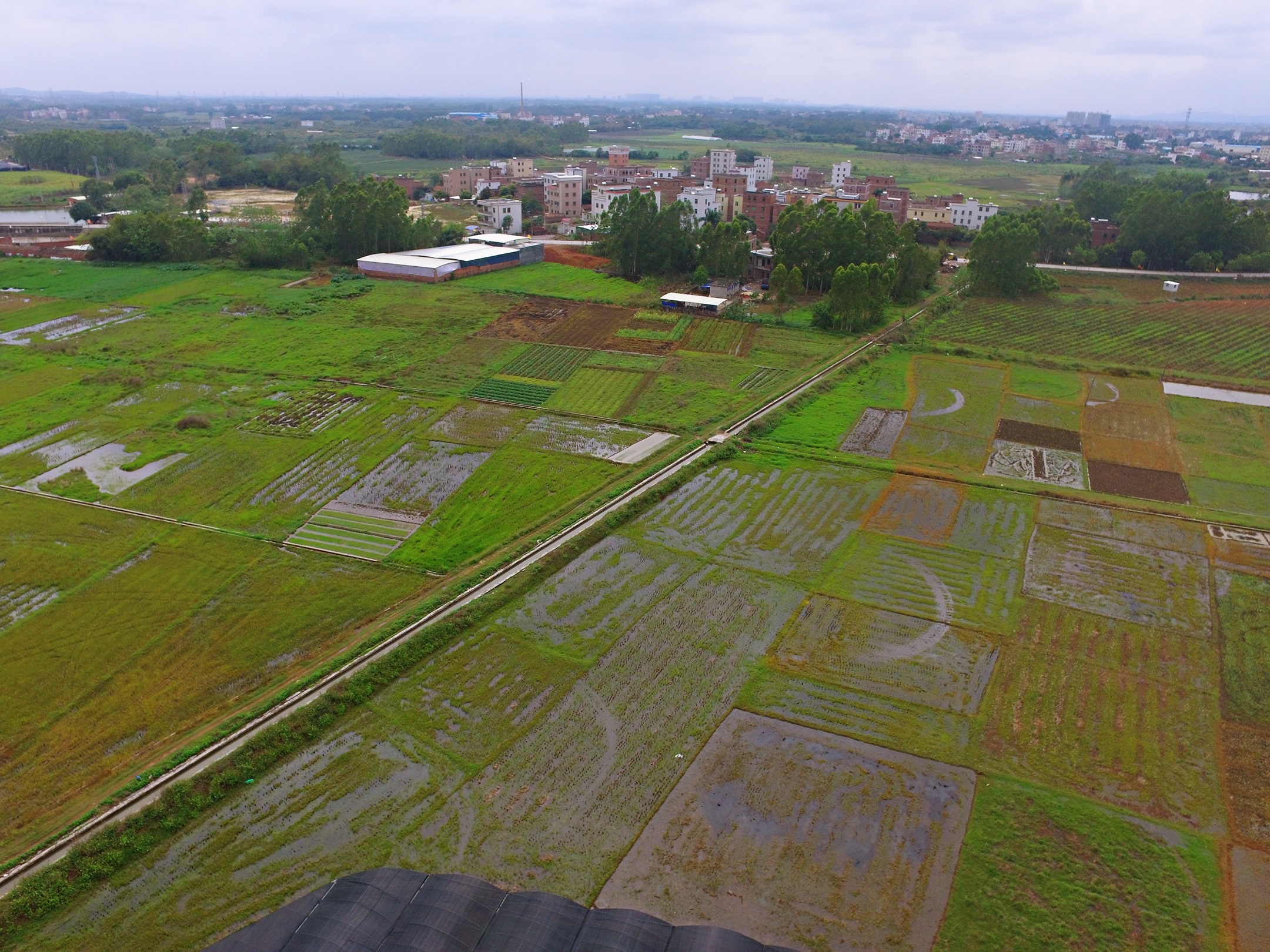 target="_blank" href="/item/高州市石鼓镇/10027585" data-lemmaid=