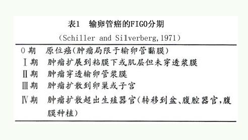输卵管癌