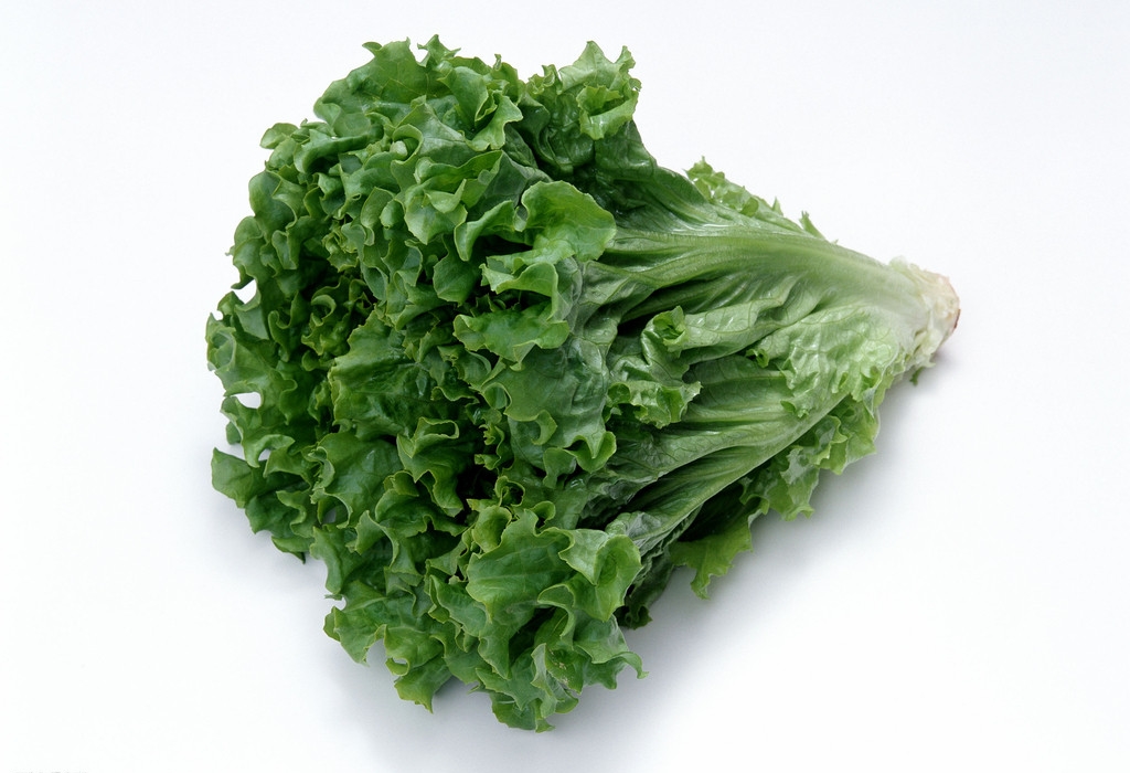 绿叶,叶柄和嫩茎为产品的 a target="_blank" href="/item/速生蔬菜