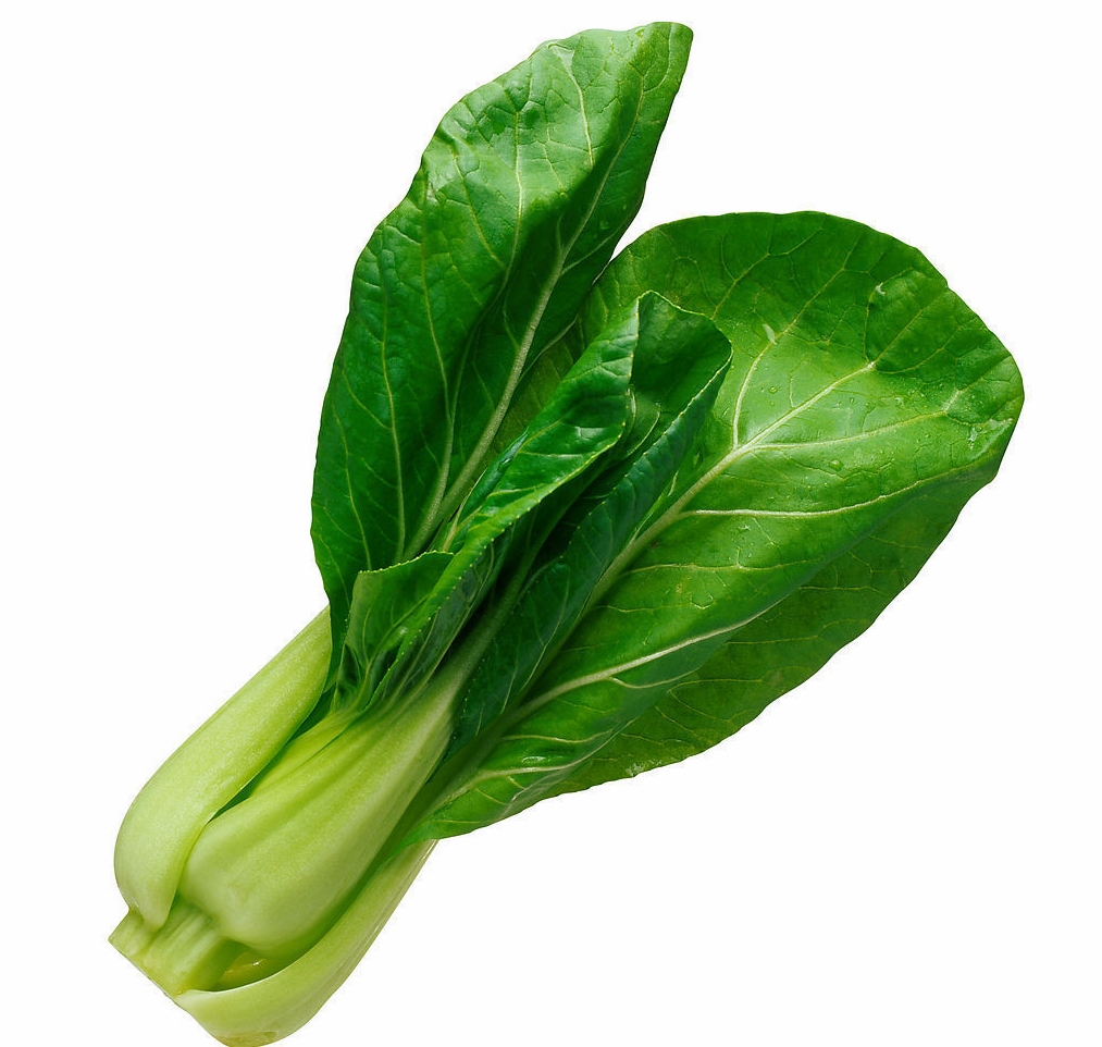  p>绿叶菜是一类主要以鲜嫩的绿叶,叶柄和嫩茎为产品的 a target="