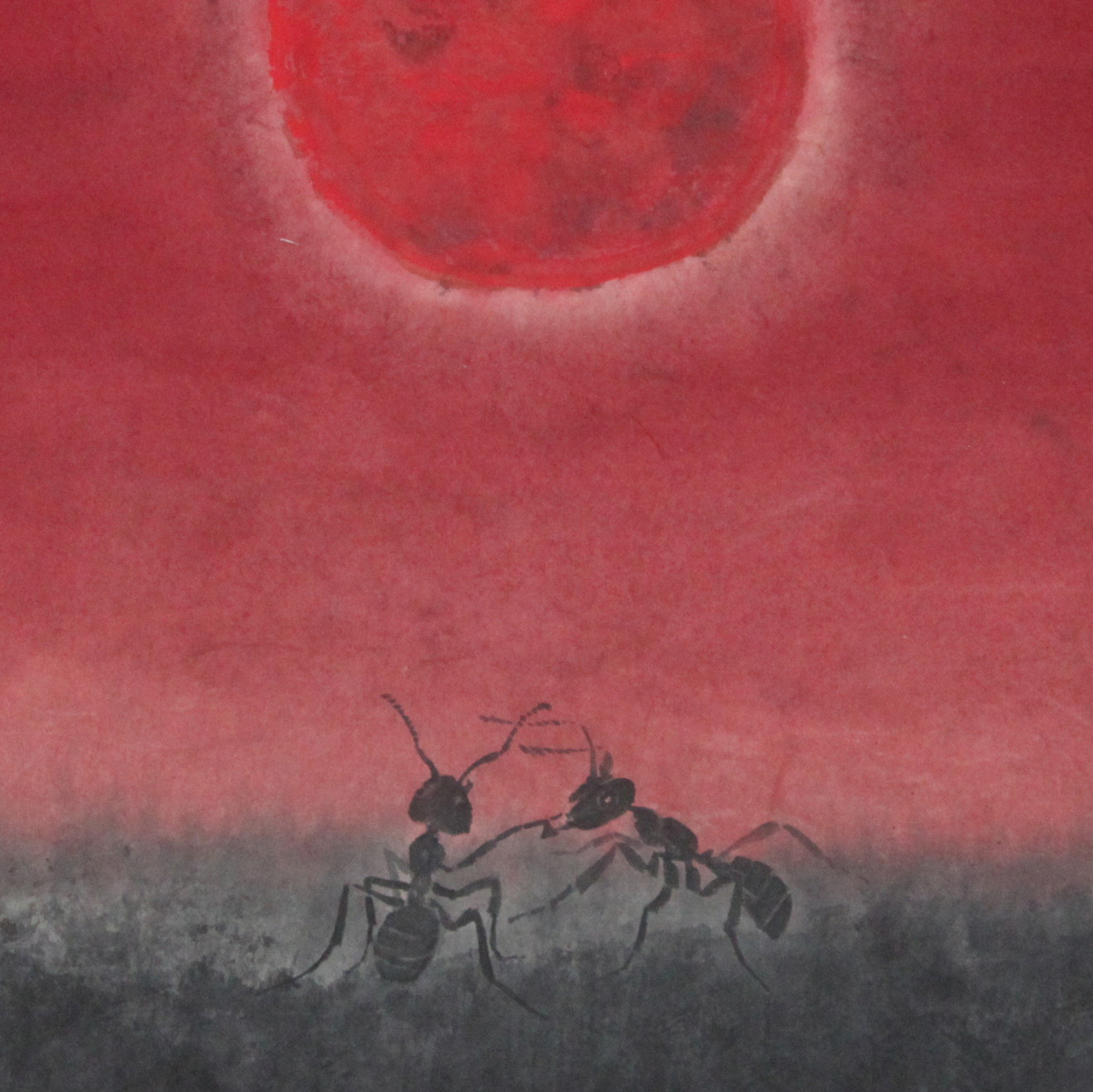 被各界媒体誉为"中国画蚂蚁第一人