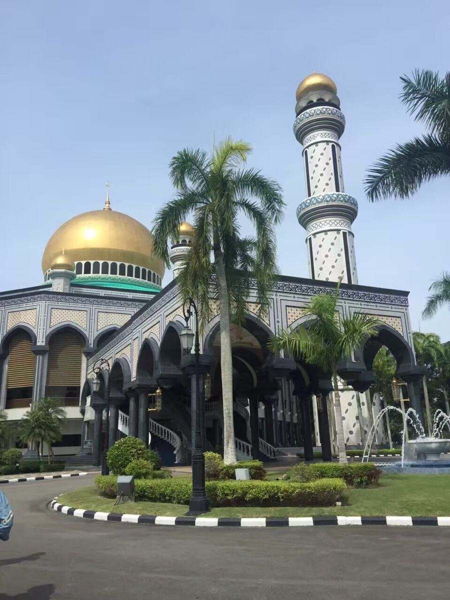 最大的皇宫,是 a target="_blank" href="/item/文莱苏丹/5203103"