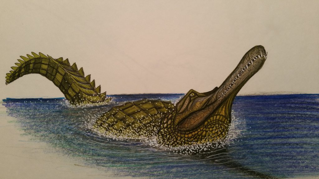 福尔克纳和考特利在1840年建立了喙嘴鳄属(rhamphosuchus),意思是"长