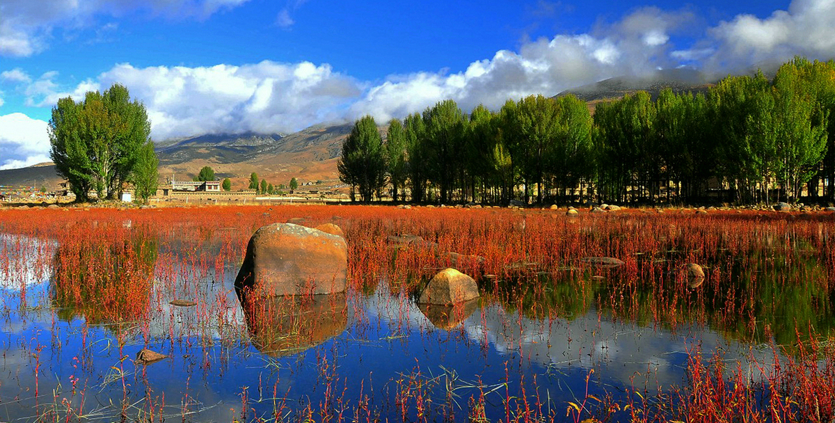 稻城亚丁红草地