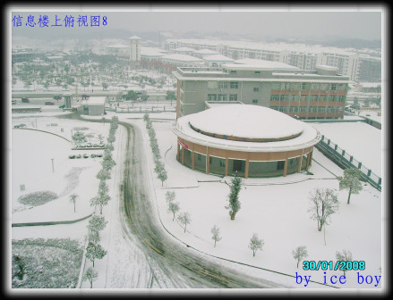湖北省鄂南高中图片