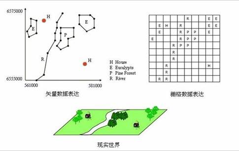 栅格数据结构