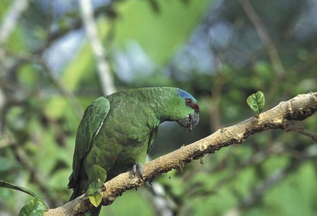 츹ʳΪʲô_츹_츹βֵǮ