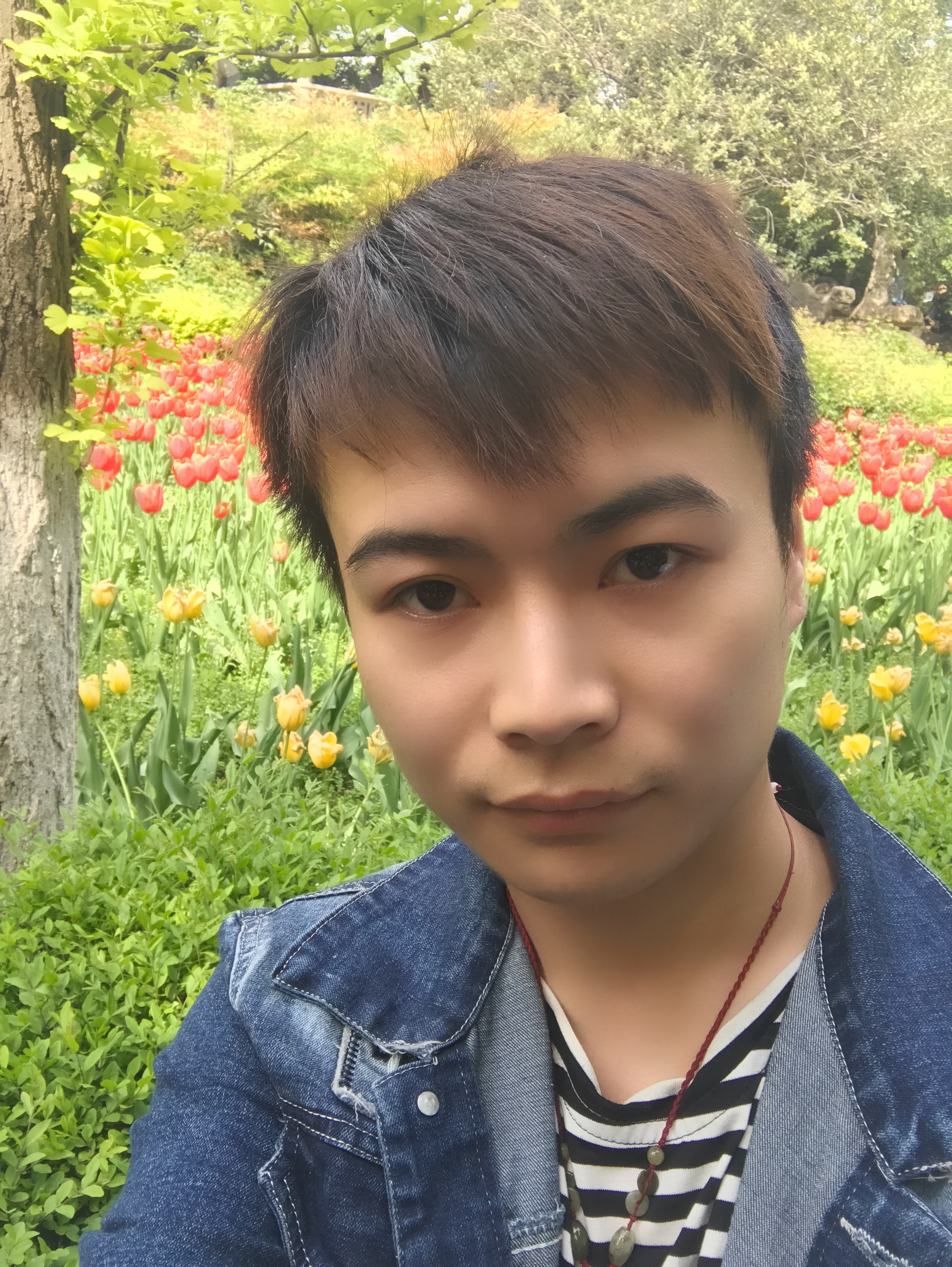 朱小龙