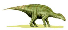 穆塔布拉龙(muttaburrasaurus)