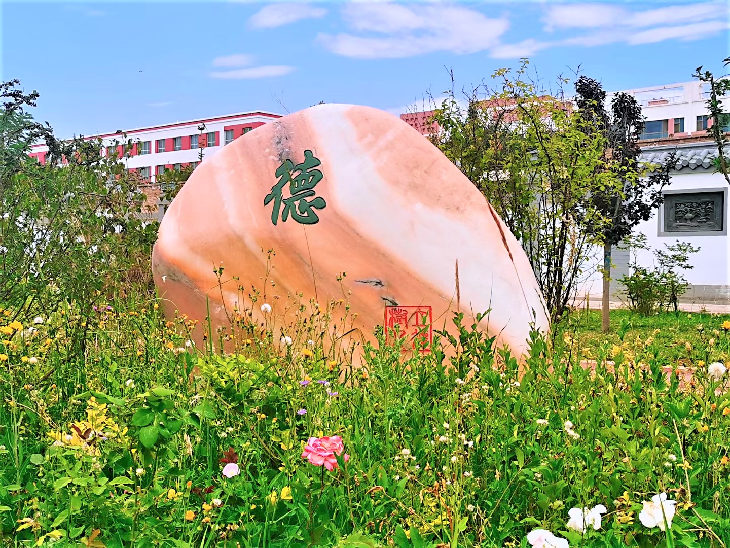 兰州新区高级中学