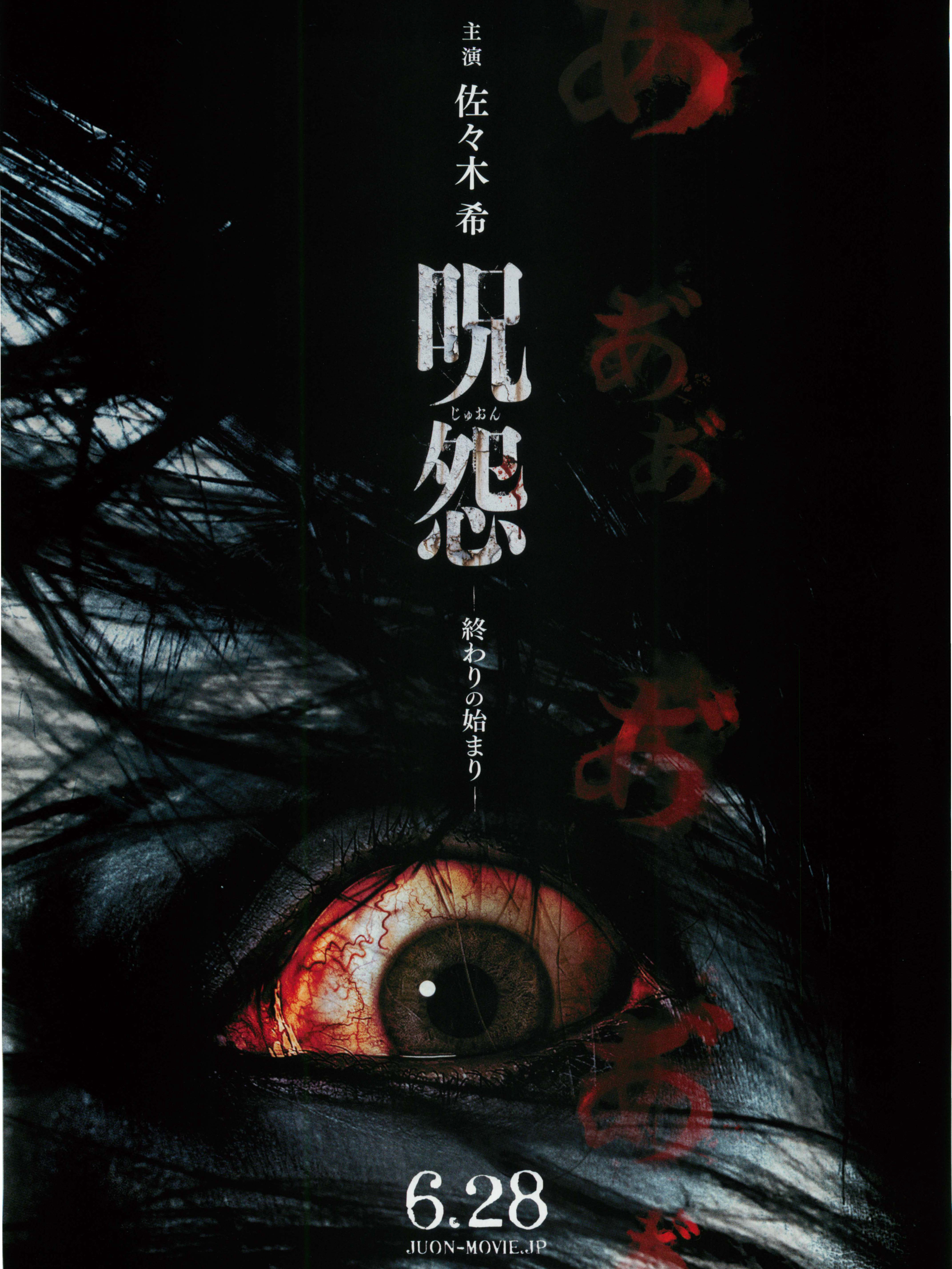 咒怨:终结的开始