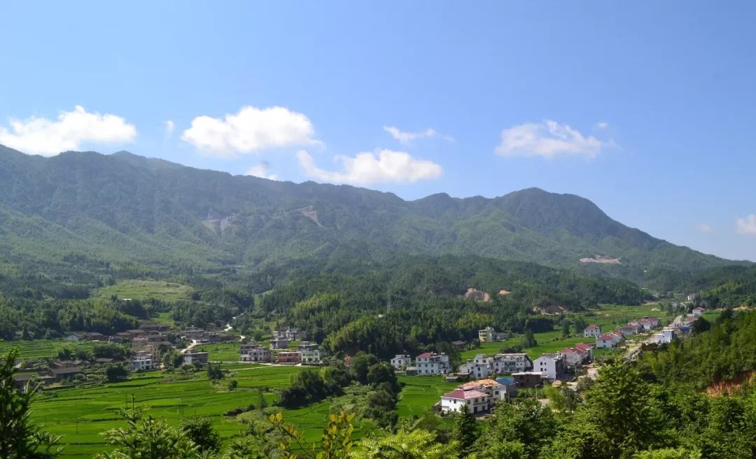 罗市镇,隶属江西省宜春市 a target="_blank" href="/item/奉新县