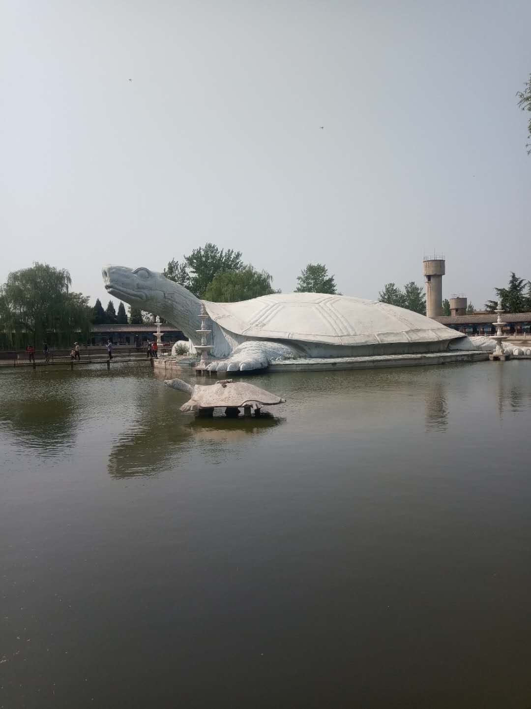 东方巨龟苑旅游观光有序开放_百科TA说