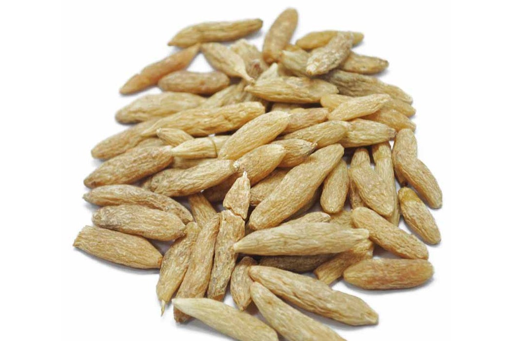 麦冬图片大全功能主治(麦冬泡水喝竟有6个害处) - 123植物网