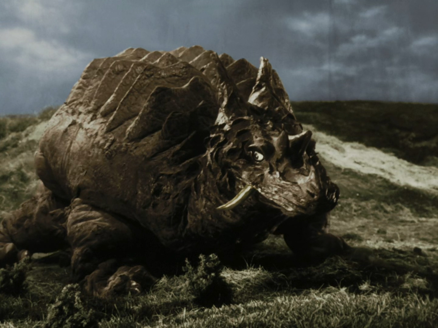 巴格斯 全网资源