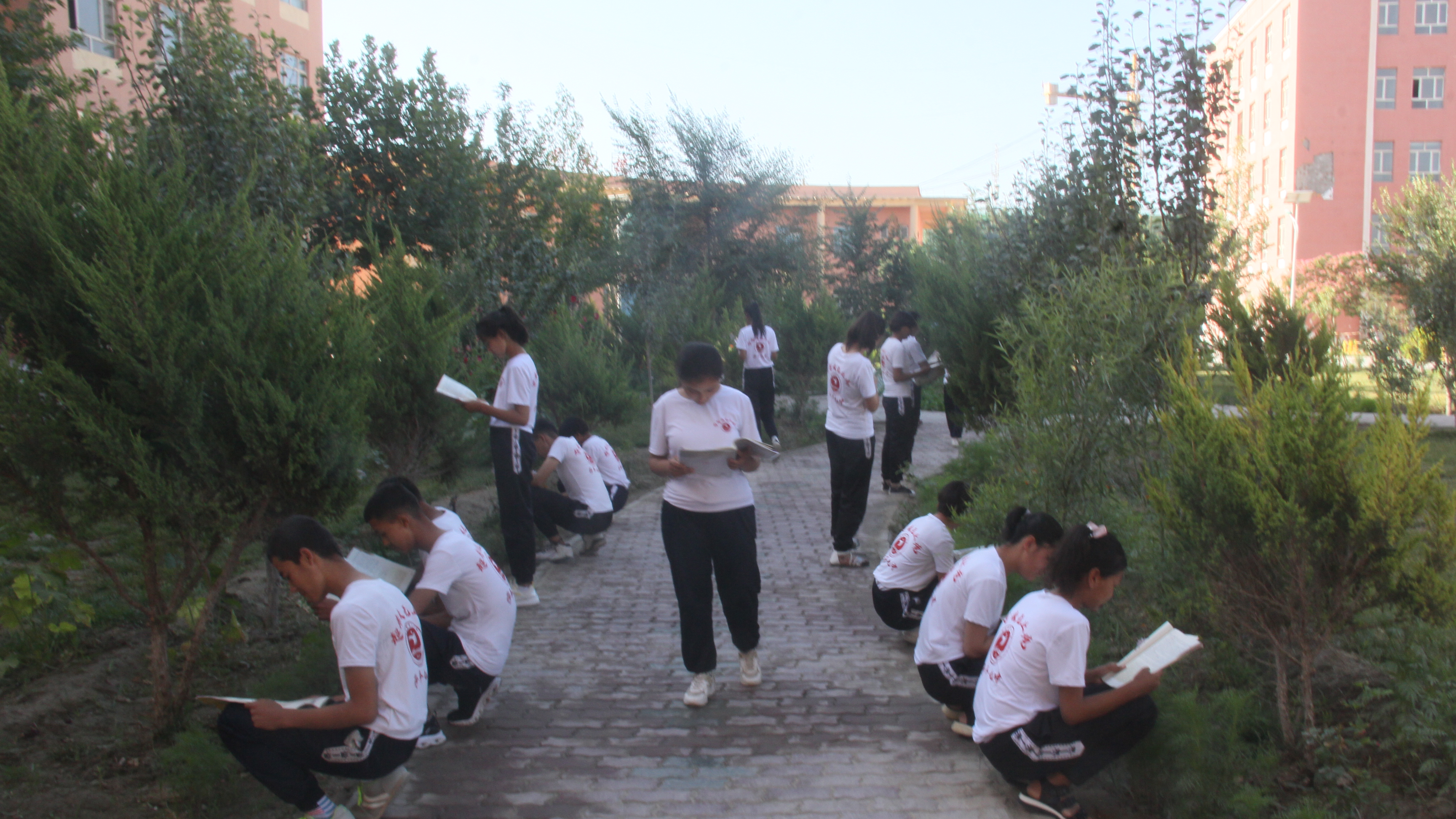 莎车县第九中学