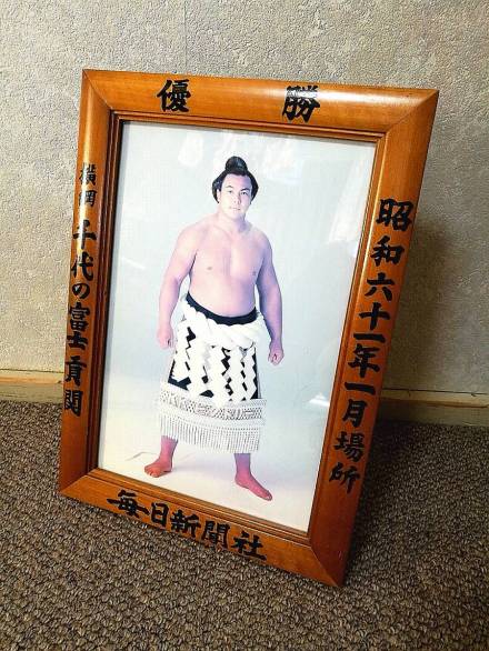 千代富士_百度百科