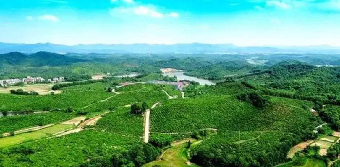 龙塘镇,隶属于江西省赣州市 a target="_blank" href="/item/定南县