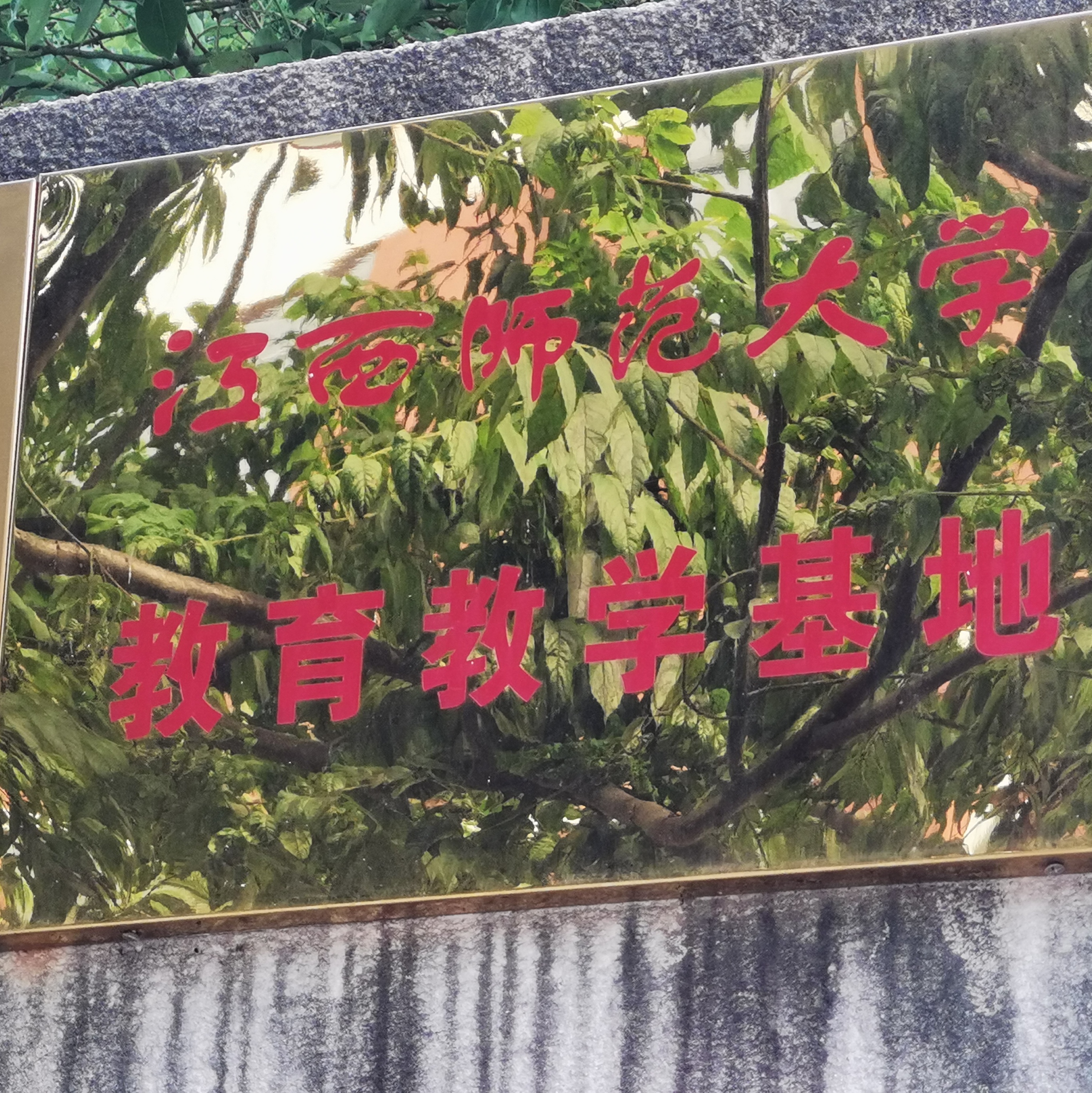 余江桃李学校