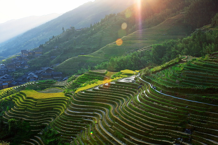 广西龙胜梯田
