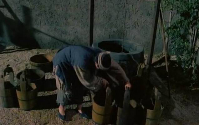 部由杜琪峰执导,郭富城,吴倩莲,张曼玉,狄龙等主演的香港古装动作电影