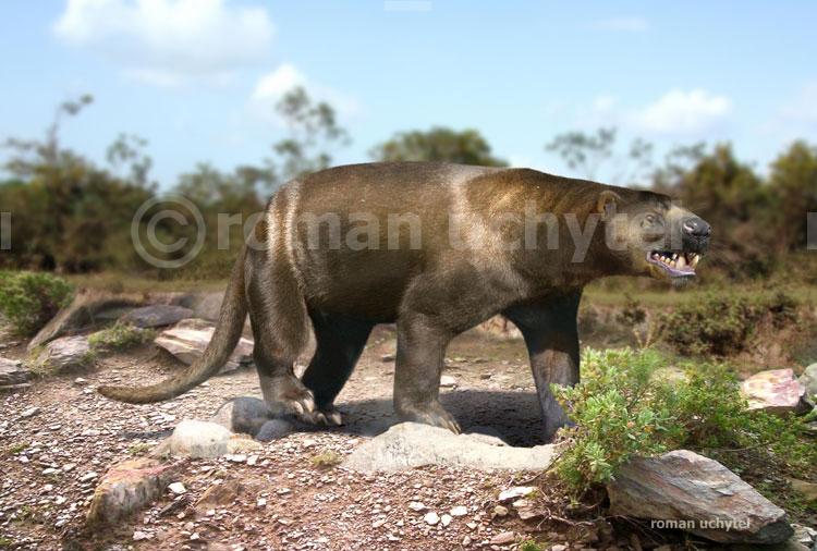 裂肉兽(sarkastodon)