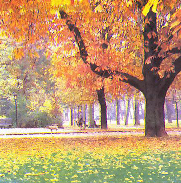 z94cv">落叶阔叶林是 a target="_blank" href="/item/温带/1696780"