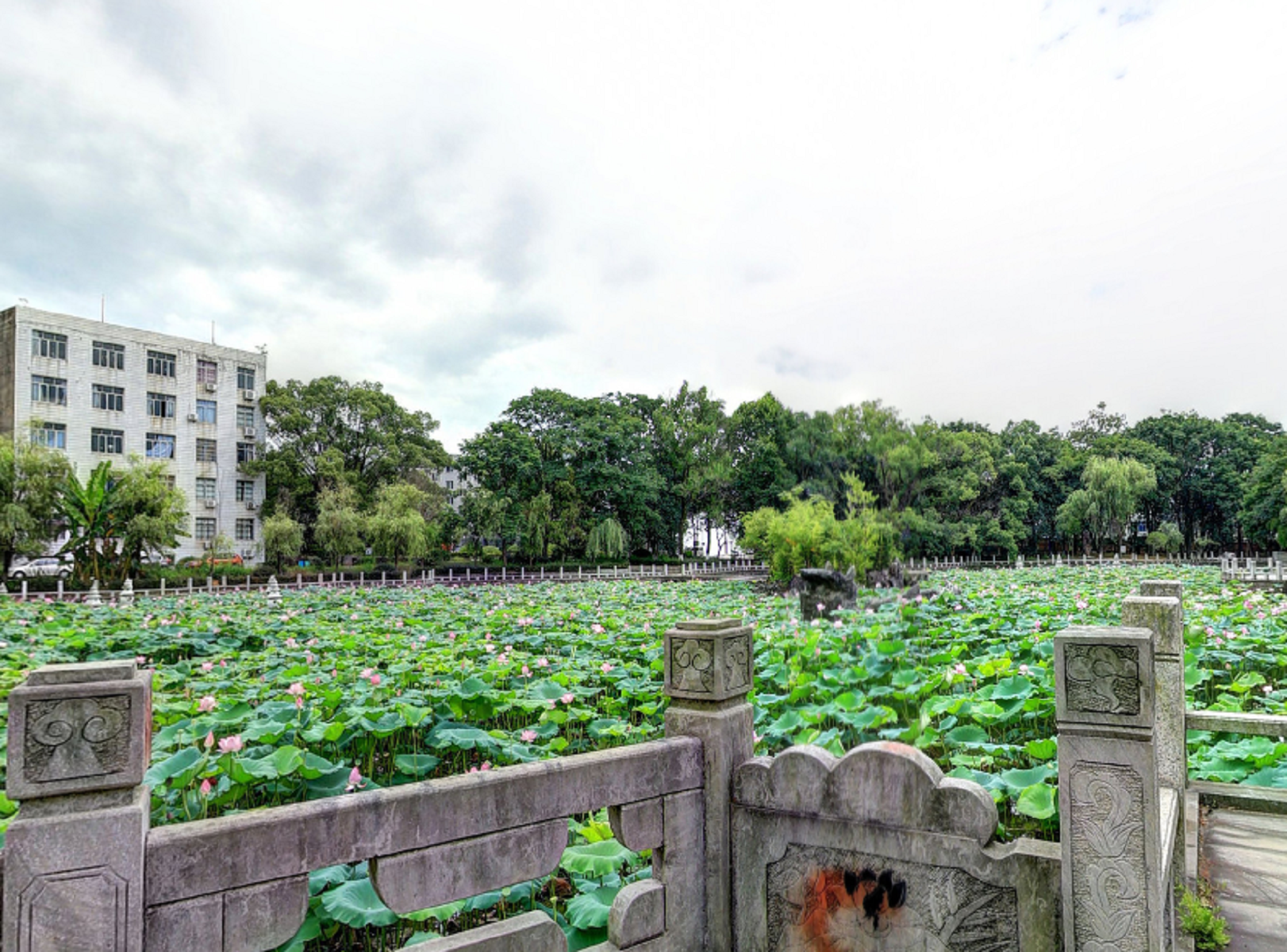 上饶职业技术学院
